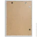  Aider    24W-6003v 1  40x60  