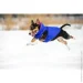  Airyvest     40 -