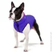  Airyvest     40 -