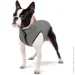    AiryVest    40 - (1846)