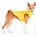    AiryVest  - L55 (1576)