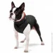    AiryVest  - L55 (1577)