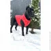   AiryVest  - L55 (1577)