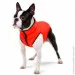    AiryVest  - L55 (1577)
