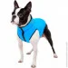    AiryVest  - M40 (1845)
