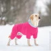    AiryVest One,  L55,  (24247)