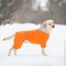    AiryVest One,  M47,  (24224)