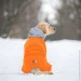   AiryVest One,  M47,  (24224)