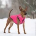     AiryVest ONE ,  XS25 (20627)