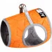  '    AiryVest ONE ,  XS2 (29384)