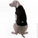    AiryVest One   XS30 (20631)
