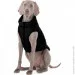    AiryVest One   XS30 (20631)