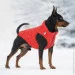    AiryVest UNI  , /,  L55 (2571)
