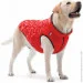    AiryVest UNI  , /,  S33 (2522)