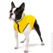  Airyvest     M47 -