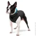  Airyvest     M 47 -