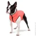  Airyvest     XS22 -