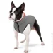  Airyvest     XS22 -