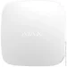  Ajax Leaks Protect White