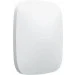  Ajax    ReX 2 white    