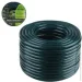   3- , Emerald Dragonfly 1/2 30. Alloid Base (WH-63305)