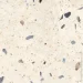 Allore Group  Kompas Chips Ivory F P NR Mat 47x47 