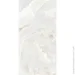 Allore Group  Lunaria Silver F P R Somat 60120 