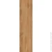 Allore Group  Timber Gold F PR R Mat 30x120 