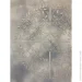 Alpina    Effect Naturstein mittel 7  