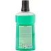 Amalfi     Mint 500 