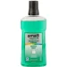 Amalfi     Mint 500 