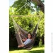 Amazonas  Brasil Gigante Cafe (1053-AZ-2030320)