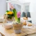 Ambition  BLISS137  -