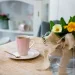 Ambition   BLISS 19  -