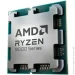  AMD Ryzen 9 9900X3D (100-1000001368WOF)