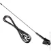   Amio   41 5  ANT01 (01048)