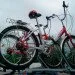    Amos       3 ST Alu (amos-3st-alu)