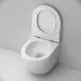  AM.PM Like AquaSpin   Soft Close (CLA1900SC)