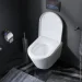  AM.PM Sense FlashClean   Soft Close (C741701SC)