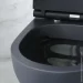  AM.PM Spirit V2.0 FlashClean   Soft Close,   (C701700MBSC)