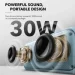  Anker SoundCore Motion 300 Green (A3135061)