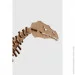  Ant Gear    00013 (4823141700013)