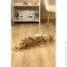  Ant Gear   (01010) (4823141701010)