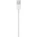  Apple Lightning to USB White (MD818ZM/A)