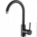    Aquasanita   Sabia 5523 601 Black Metallic