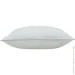 Arcloud    Bubble 50x70  