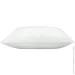 Arcloud    Chill Out 50x70  