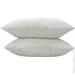 Arcloud  Cotton 50x70  
