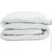 Arcloud  SWISS     140x205 