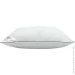 Arcloud    SWISS 50x70  
